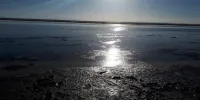 سیلاب‌های اخیر سبب افزایش رطوبت مصب تالاب گاوخونی شد