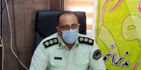 ۱.۵ تن چوب قاچاق درخت تاغ در نردین میامی کشف شد