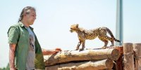 پیروز، آغاز راهی روشن برای آینده یوزهای ایرانی
