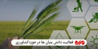 توسعه دانش بنیان‌ها بدون برنامه/ نیازسنجی؛ حلقه ای مفقوده