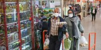 جزییات جشنواره از فجر تا فطر و تدابیر تنظیم بازار گوشت