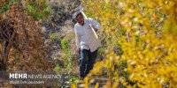 تولید یک کیلوگرم محصول به ازای یک متر مکعب آب