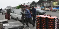 ذخیره‌سازی ۱۵ هزار تن سیب و پرتقال برای تنظیم بازار شب عید