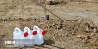 احصای ظرفیت اکوسیستمی کشور برای کاشت یک میلیارد درخت