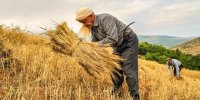 زمین ابزار تولید و بهره وری است