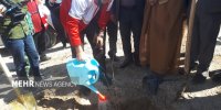 ۵ هزار اصله نهال در رزمایش سراسری درختکاری در اصفهان کاشته شد