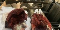 دستگیری شکارچی متخلف در ورجین