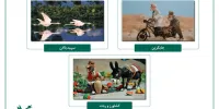 شتر و آسیابان به فرانسه رفت