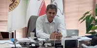 جزییات پیشنهاد چند میلیاردی به علیرضا فیروزجا برای بازگشت به ایران/ تامینی: کمک کنیم خادم‌الشریعه برگردد