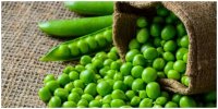 فواید شگفت انگیز نخودفرنگی برای سلامتی بدن