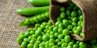 معجزه نخود فرنگی که نمی‌دانستید