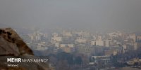 تاثیر آلودگی هوا بر احتمال زوال عقل