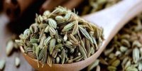 این گیاه دوای دردهای گوارشی است
