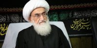 آیت‌الله نوری همدانی: همانطور که حجاب اهمیت دارد ربا هم مورد توجه باشد/اولویت معیشت است