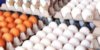 عوارض مصرف زیاد  تخم مرغ !