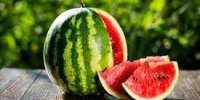 از ما گفتن؛ پوست و دانه هندوانه را هم بخورید