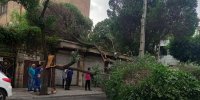 آماده باش کامل شهرداری تهران در پی طوفان امروز