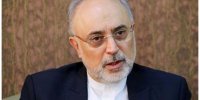 علی اکبر صالحی: در ظاهر محدودیتی را در برجام پذیرفتیم، اما چیزی از بُعد فنی از دست ندادیم