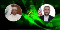 رایزنی تلفنی امیرعبداللهیان با دبیرکل سازمان همکاری اسلامی