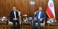 دیدار سفیر جدید ایران در سوئد با امیرعبداللهیان