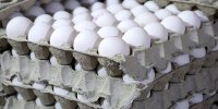 قیمت مصوب تخم مرغ/ هر شانه چند؟