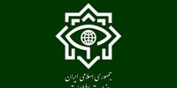 بازداشت  ۱۹۶ تروریست  در کشور/ وزارت اطلاعات خبر داد