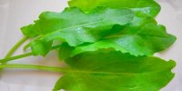 10 گیاه معجزه گر برای درمان کم خونی
