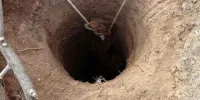 انتقاد عضو شورای شهر تهران از عدم واکنش شهرداری به مرگ سه کارگر