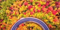 باور نمی کنید این جاده رویایی در ایران باشد / عکس