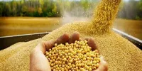 تاخیر ترخیص مواد اولیه هزینه های مضاعف تحمیل می کند