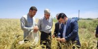 مراکز خدمات کشاورزی سیاست های کلان وزارت کشاورزی را دنبال کنند