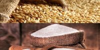 مناقشه بر سر قیمت گندم ادامه دارد/ روند صعودی قیمت قند و شکر