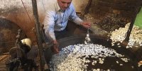 ۸۰ درصد ابریشم کشور در کارگاه‌های بایگ تربت حیدریه تولید می‌شود