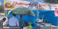 ضرورت حمایت و توانمندسازی صندوق تعاون روستایی ایرانیان