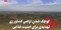 کوچک شدن اراضی کشاورزی تهدیدی برای امنیت غذایی