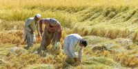ساز ناکوک ایران و افغانستان بر سر حقابه