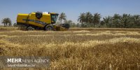 ایران در منطقه رتبه اول کشاورزی را دارد