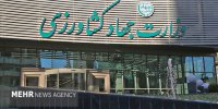 سرپرست شرکت پشتیبانی امور دام کشور معرفی شد