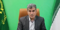درآمد ۱۴۱ میلیارد تومانی برای توت فرنگی کاران گیلانی