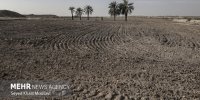 حقابه گرمسار و آرادان خشکید/ بررسی موانع آبرسانی از نمرود