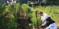خبر خوش برای فارغ‌التحصیلان کشاورزی