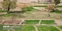 صدور اسناد کشاورزی به کجا رسید؟
