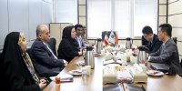 فرآیند طولانی صدور روادید چین برای تجار ایرانی/ مشکل باید رفع شود