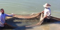 لزوم جلوگیری از صید بی‌رویه و غیرمجاز در آب‌های کشور