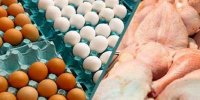 گرما نرخ تخم مرغ را کاهش داد/ مرغ هر کیلو ۸۹ هزار ۸۰۰ تومان