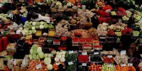 صادرات بیش از ۴۷۰۰ تن صیفی جات گلخانه ای به روسیه