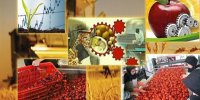 برنامه راهبردی حوزه صنایع تبدیلی و غذایی کشور تدوین شد