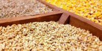 کدام کالاهای اساسی ارز می‌گیرند؟