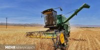 طرح دستیابی به پتانسیل عملکرد در محصول گندم اجرایی می شود
