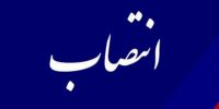 نماینده وزارت تعاون در سازمان بین‌المللی کار منصوب شد